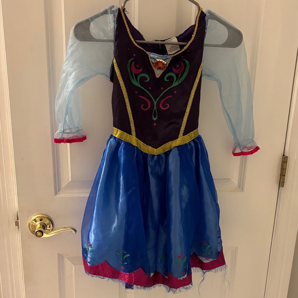 Costume Dress - Blue and Purple